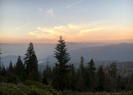 The image shows a serene landscape with towering evergreen trees, rolling hills, and a calm sunset sky with soft clouds, casting a tranquil ambiance.