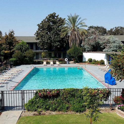 The image shows a swimming pool surrounded by lounge chairs, greenery, and a building in the background. A palm tree is prominent in the center.