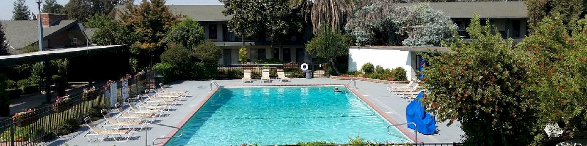 This image shows a large outdoor swimming pool surrounded by lounge chairs, with a landscaped garden and trees in the background.